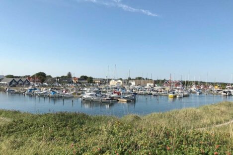 Stemningsbillede fra Hou Havn