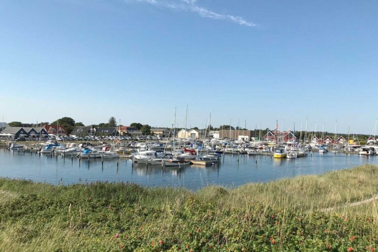 Stemningsbillede fra Hou Havn