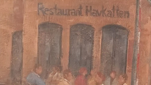 Besøg Havkatten